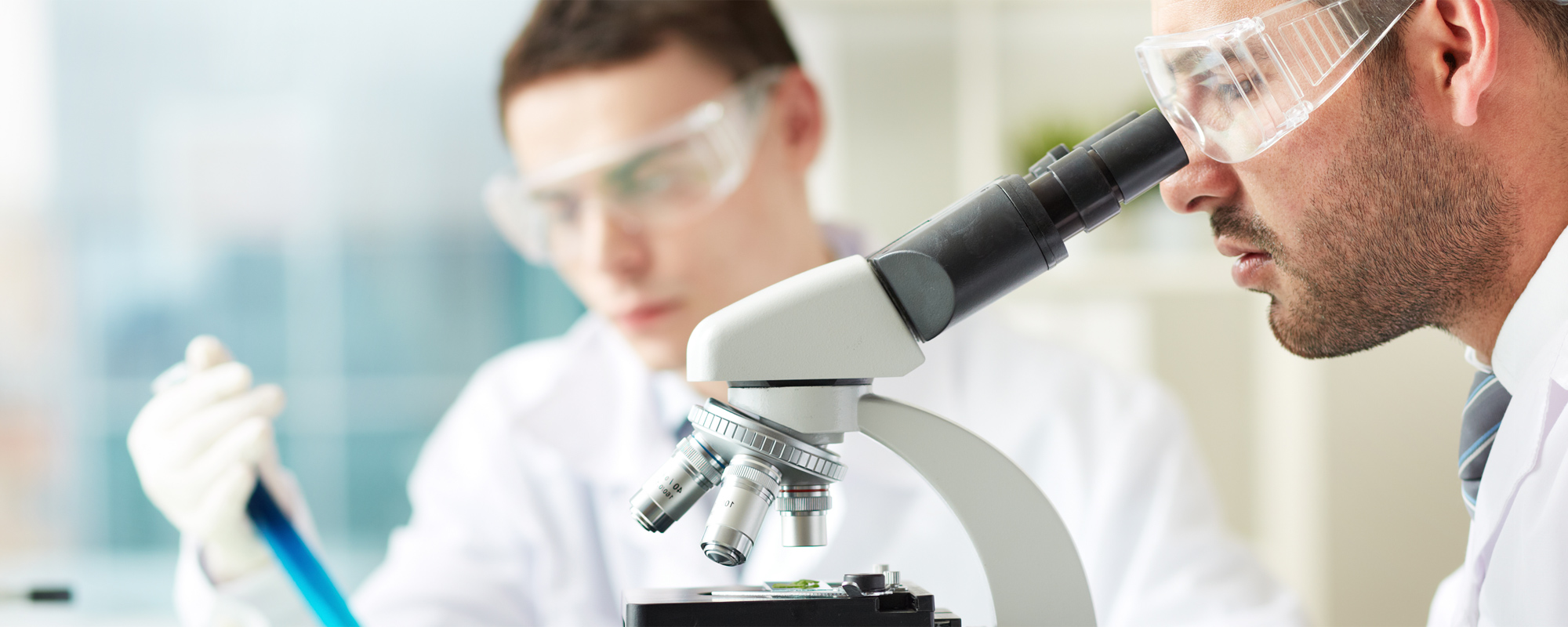 Over a Decade of <span>HA Polymer R&D</span>